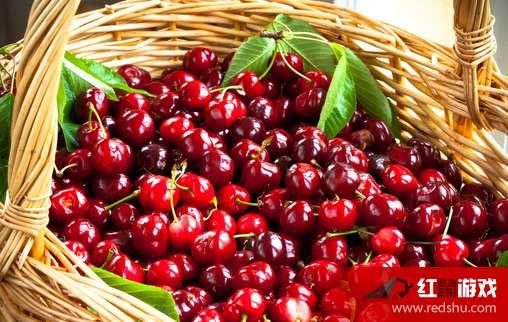 娱乐吃瓜酱樱桃